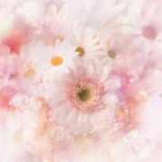 ヒメ日記 2025/12/31 06:25 投稿 リリア ミセスコレクション