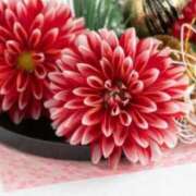 ヒメ日記 2026/01/01 05:25 投稿 リリア ミセスコレクション