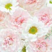 ヒメ日記 2026/01/04 06:13 投稿 リリア ミセスコレクション