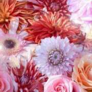 ヒメ日記 2026/01/05 06:13 投稿 リリア ミセスコレクション