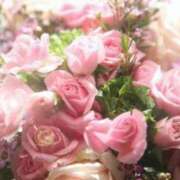 ヒメ日記 2026/01/07 06:03 投稿 リリア ミセスコレクション