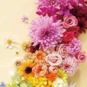 ヒメ日記 2026/01/08 06:03 投稿 リリア ミセスコレクション