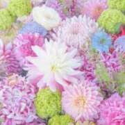 ヒメ日記 2026/01/09 06:03 投稿 リリア ミセスコレクション