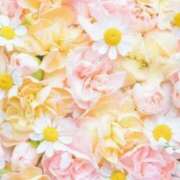 ヒメ日記 2026/01/13 06:13 投稿 リリア ミセスコレクション