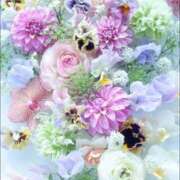 ヒメ日記 2026/01/15 06:03 投稿 リリア ミセスコレクション