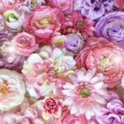 ヒメ日記 2026/01/16 06:03 投稿 リリア ミセスコレクション