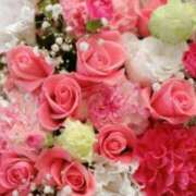 ヒメ日記 2026/01/17 06:23 投稿 リリア ミセスコレクション