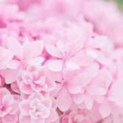 ヒメ日記 2026/01/20 07:03 投稿 リリア ミセスコレクション