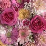 ヒメ日記 2026/01/23 06:13 投稿 リリア ミセスコレクション