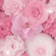 ヒメ日記 2026/01/24 06:13 投稿 リリア ミセスコレクション