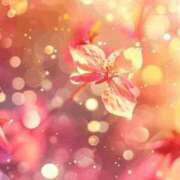 ヒメ日記 2026/01/25 06:03 投稿 リリア ミセスコレクション