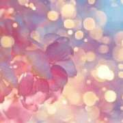 ヒメ日記 2026/01/25 06:05 投稿 リリア ミセスコレクション