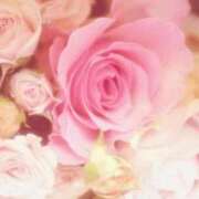 ヒメ日記 2026/01/26 06:13 投稿 リリア ミセスコレクション