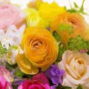 ヒメ日記 2026/01/27 06:03 投稿 リリア ミセスコレクション