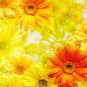 ヒメ日記 2026/01/28 06:13 投稿 リリア ミセスコレクション