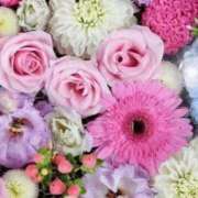 ヒメ日記 2026/01/31 06:13 投稿 リリア ミセスコレクション