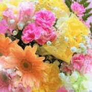 ヒメ日記 2026/02/10 06:13 投稿 リリア ミセスコレクション