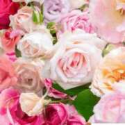 ヒメ日記 2026/02/11 06:13 投稿 リリア ミセスコレクション