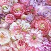 ヒメ日記 2026/02/12 06:13 投稿 リリア ミセスコレクション