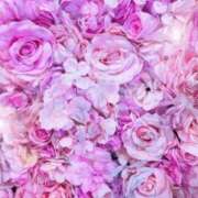 ヒメ日記 2026/02/15 06:03 投稿 リリア ミセスコレクション