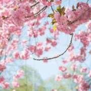 ヒメ日記 2026/02/17 06:23 投稿 リリア ミセスコレクション