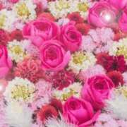 ヒメ日記 2026/02/20 05:53 投稿 リリア ミセスコレクション