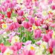 ヒメ日記 2026/02/24 05:53 投稿 リリア ミセスコレクション