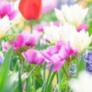 ヒメ日記 2026/02/24 06:13 投稿 リリア ミセスコレクション