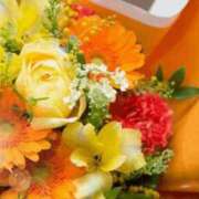 ヒメ日記 2026/02/25 05:53 投稿 リリア ミセスコレクション