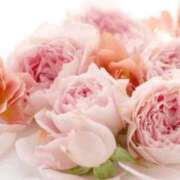 ヒメ日記 2026/02/26 06:03 投稿 リリア ミセスコレクション