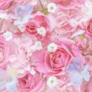 ヒメ日記 2026/03/01 06:03 投稿 リリア ミセスコレクション