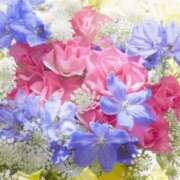 ヒメ日記 2026/03/03 06:23 投稿 リリア ミセスコレクション