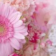 ヒメ日記 2026/03/04 05:53 投稿 リリア ミセスコレクション