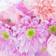 ヒメ日記 2026/03/04 06:13 投稿 リリア ミセスコレクション