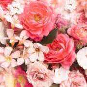 ヒメ日記 2026/03/07 06:13 投稿 リリア ミセスコレクション