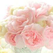 ヒメ日記 2026/03/08 05:53 投稿 リリア ミセスコレクション