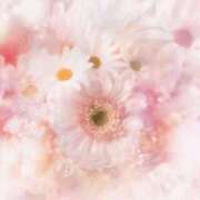 ヒメ日記 2026/03/09 06:23 投稿 リリア ミセスコレクション