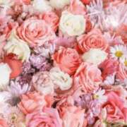 ヒメ日記 2026/03/24 06:13 投稿 リリア ミセスコレクション