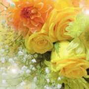 ヒメ日記 2026/03/29 06:13 投稿 リリア ミセスコレクション