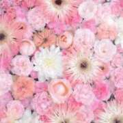 ヒメ日記 2026/04/05 06:13 投稿 リリア ミセスコレクション