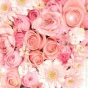 ヒメ日記 2026/04/06 06:03 投稿 リリア ミセスコレクション