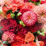 ヒメ日記 2026/04/07 06:03 投稿 リリア ミセスコレクション