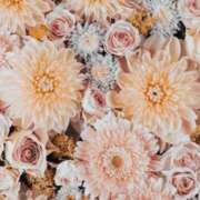 ヒメ日記 2026/04/08 07:43 投稿 リリア ミセスコレクション