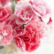 ヒメ日記 2026/04/09 06:14 投稿 リリア ミセスコレクション