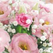 ヒメ日記 2026/04/09 06:15 投稿 リリア ミセスコレクション