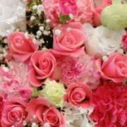 ヒメ日記 2026/04/10 06:45 投稿 リリア ミセスコレクション