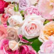 ヒメ日記 2026/04/11 06:03 投稿 リリア ミセスコレクション