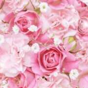 ヒメ日記 2026/04/11 06:05 投稿 リリア ミセスコレクション