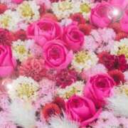 ヒメ日記 2026/04/12 06:03 投稿 リリア ミセスコレクション