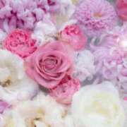 ヒメ日記 2026/04/14 05:53 投稿 リリア ミセスコレクション